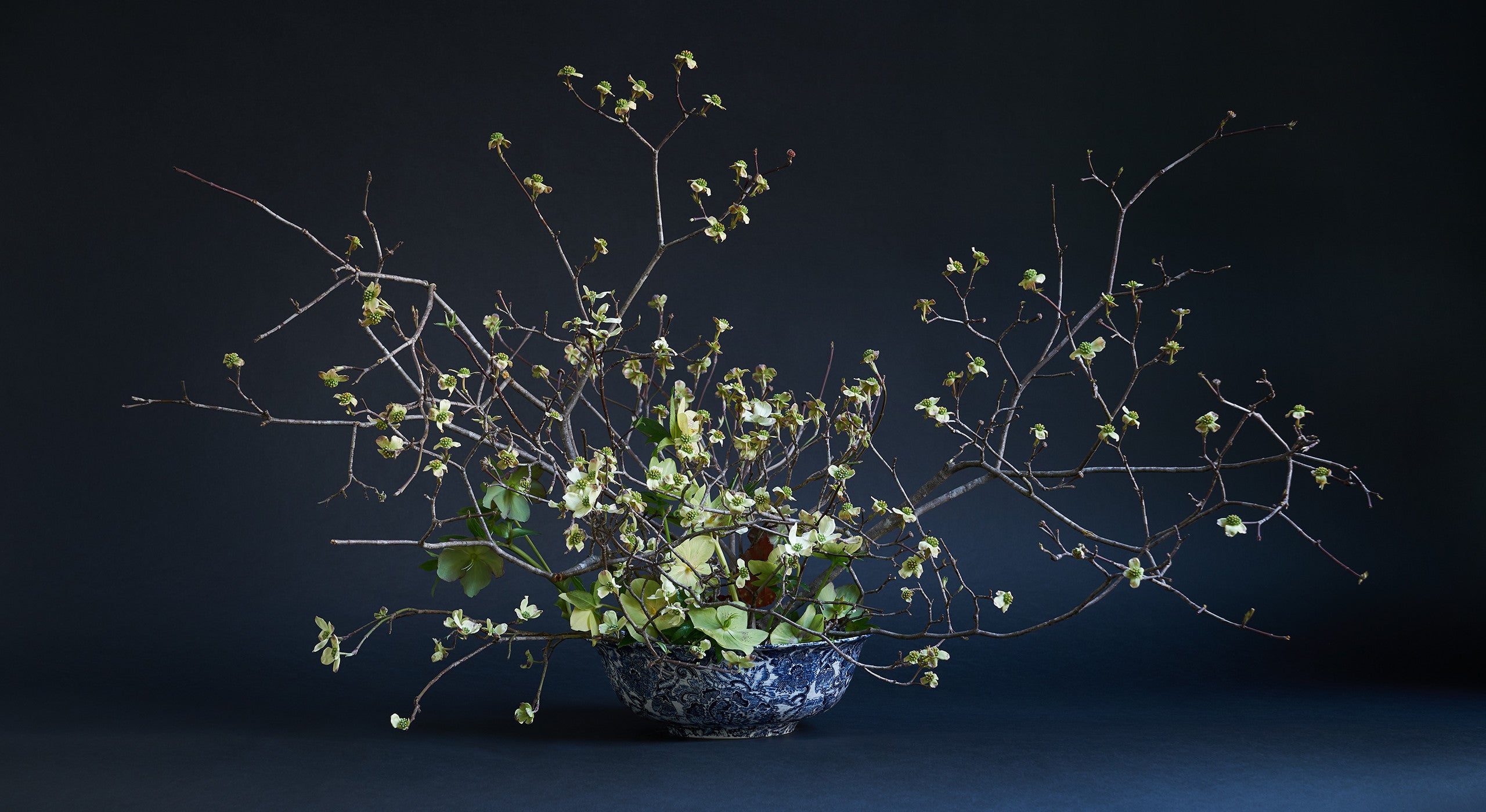 &ldquo;Adoro lavorare con i rami, e il corniolo in fiore &egrave; uno dei pi&ugrave; evocativi grazie alla sua forma ricca di contorsioni. In questa composizione sono inseriti in un flower frog, un supporto realizzato con una tecnica giapponese che permette il passaggio di una grande quantit&agrave; d&rsquo;aria. Pu&ograve; essere facilmente fissato alla fruttiera con un materiale adatto, un adesivo disponibile in commercio che non si stacca quando si aggiunge acqua. L&rsquo;obiettivo &egrave; mantenere visibile lo splendido interno della fruttiera e creare quasi la sensazione di tuffarcisi dentro. Ho aggiunto la rosa di quaresima, il primo fiore che fiorisce nella neve insieme al bucaneve. Sono fiori a cinque petali ma hanno una relazione diretta con la forma del corniolo, e questa ripetizione &egrave; ci&ograve; che cercavo. Gli unici altri materiali presenti sono alcune foglie di begonia. Le ho disposte per lo pi&ugrave; sulla parte posteriore, cos&igrave; che possano essere apprezzate da chi osserva la composizione da dietro&rdquo;.