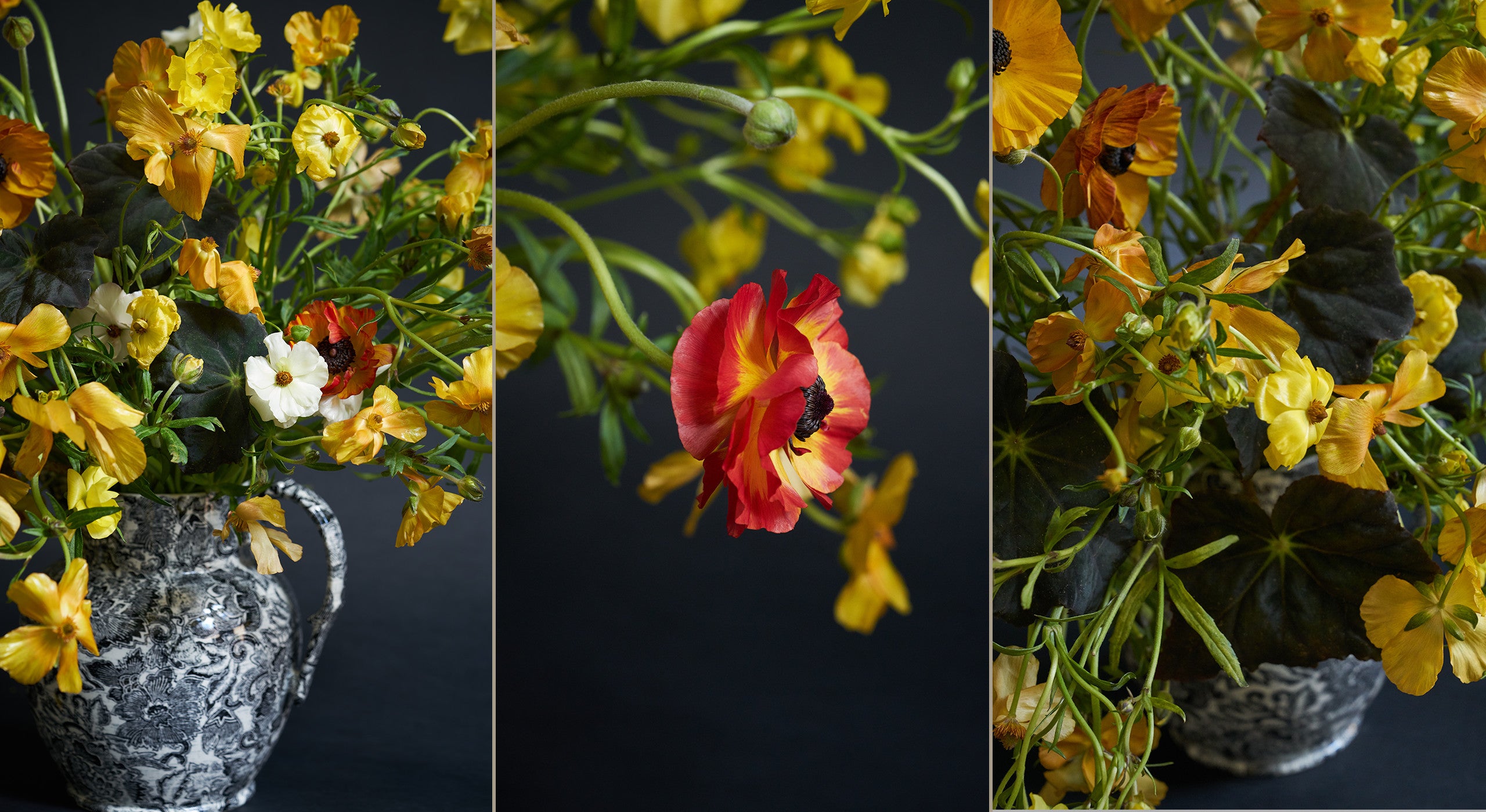 &ldquo;Questi sono bulbi e fiori che non si vedono spesso in giardino, eppure all&rsquo;inizio della primavera creano una grande attesa per l&rsquo;arrivo della stagione. Il senso di limitazione e l&rsquo;anticipazione di qualcosa fuori stagione danno vita a un effetto particolarmente piacevole. Le nostre composizioni devono riflettere il nostro ambiente. Le proporzioni di questi vasi sono molto semplici e le dimensioni sono perfette in casa. Se si preferisce, si pu&ograve; anche ingrandire un po&rsquo; questa composizione, ma resta una creazione molto pratica, magnifica da sistemare su una cucina con isola o su un mobile&rdquo;.